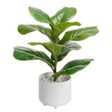 Riviera Ceramic Potted Faux 14h" Fiddle Leaf Fig Plant