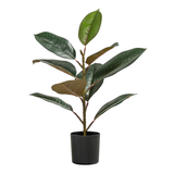 Rubber Tree 21h" Faux Potted Plant