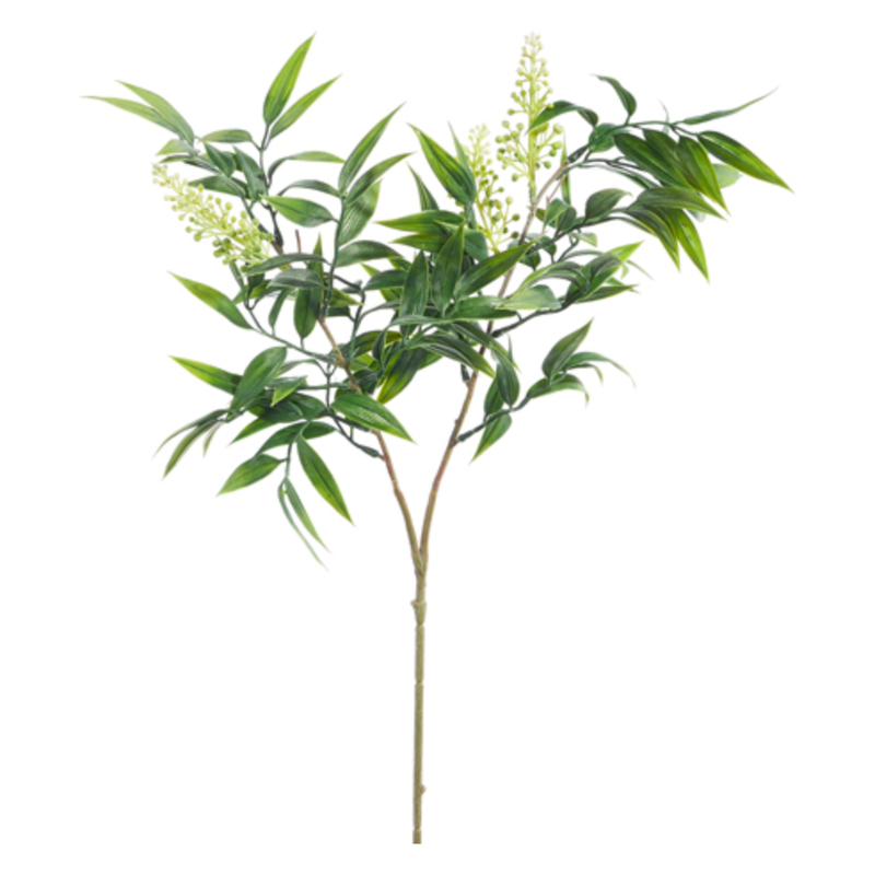 Willow Branch