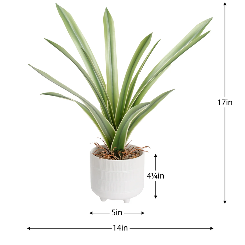 Riviera Ceramic Potted Faux 17" Cymbidium Leaf Plant