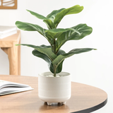 Riviera Ceramic Potted Faux 14h" Fiddle Leaf Fig Plant