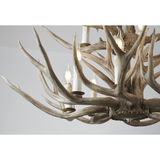 Two Tier Antler Chandelier