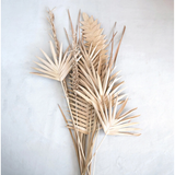 Handmade Buri Palm Pick