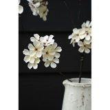 Pear Blossom Branch