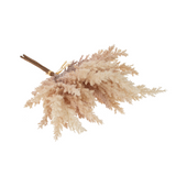 Pampas Grass Bundle in Blush
