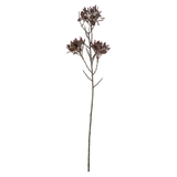 Wild Flower Spray in Dark Purple