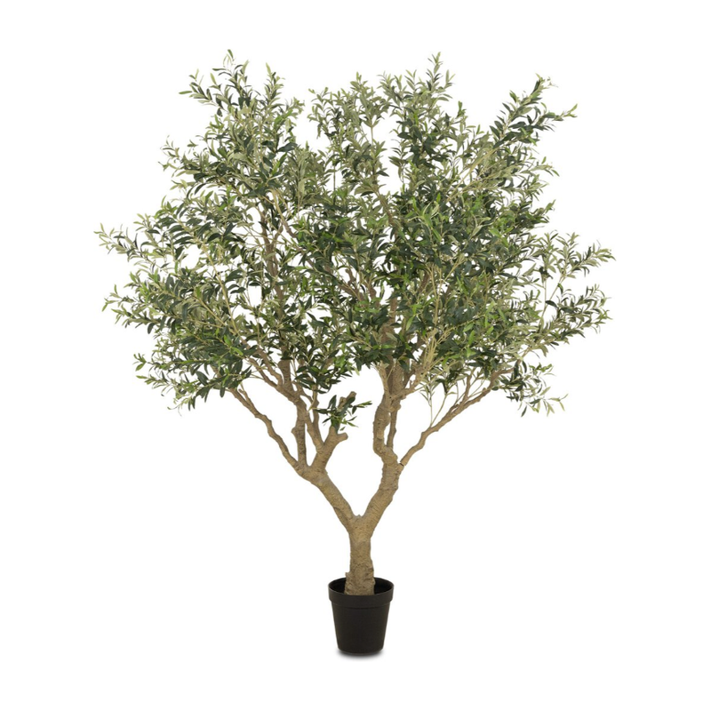 Faux Olive Tree Wide