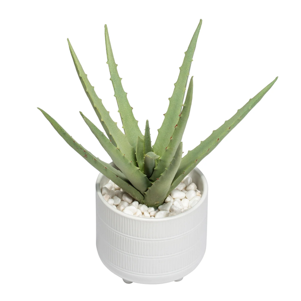 Riviera Ceramic Potted Faux 11h" Aloe Succulent Plant