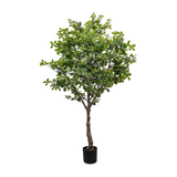 Faux Aralia Tree