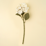 Hydrangea Stem in White