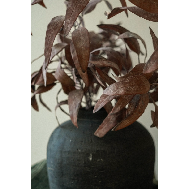 Dried Eucalyptus Stem in Purple