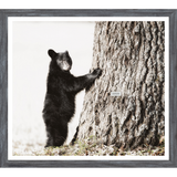 Smokey Mountain Cub Art