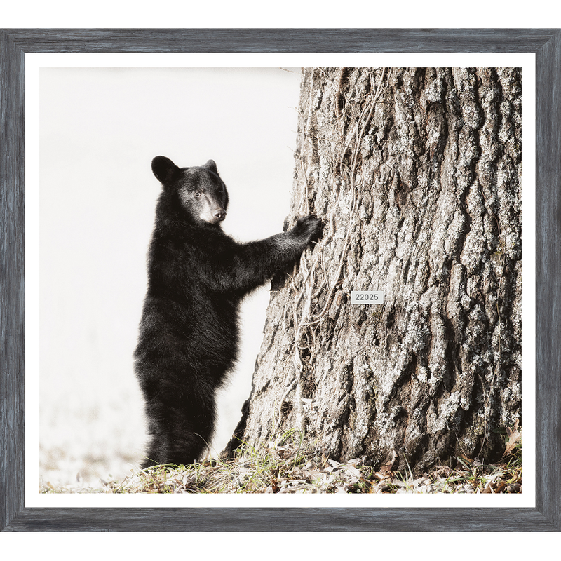 Smokey Mountain Cub Art