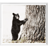 Smokey Mountain Cub Art