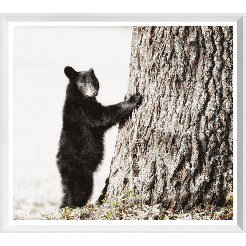 Smokey Mountain Cub Art