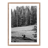 Don't Feed The Bears w/Rustic Walnut Frame