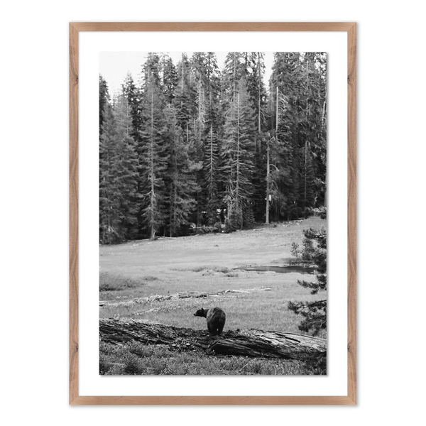 Don't Feed The Bears w/Rustic Walnut Frame