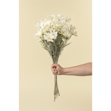 White Cosmos Spray