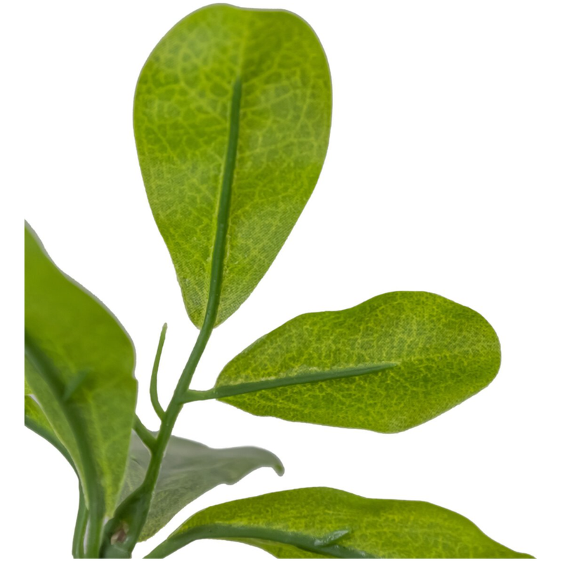 Faux Aralia Tree