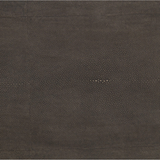 Shagreen Shadow Box Coffee Table