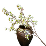 Japanese Cherry Blossom