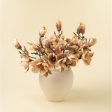 Magnolia Branch | Cream