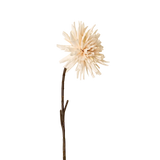 Dahlia Stem in Cream