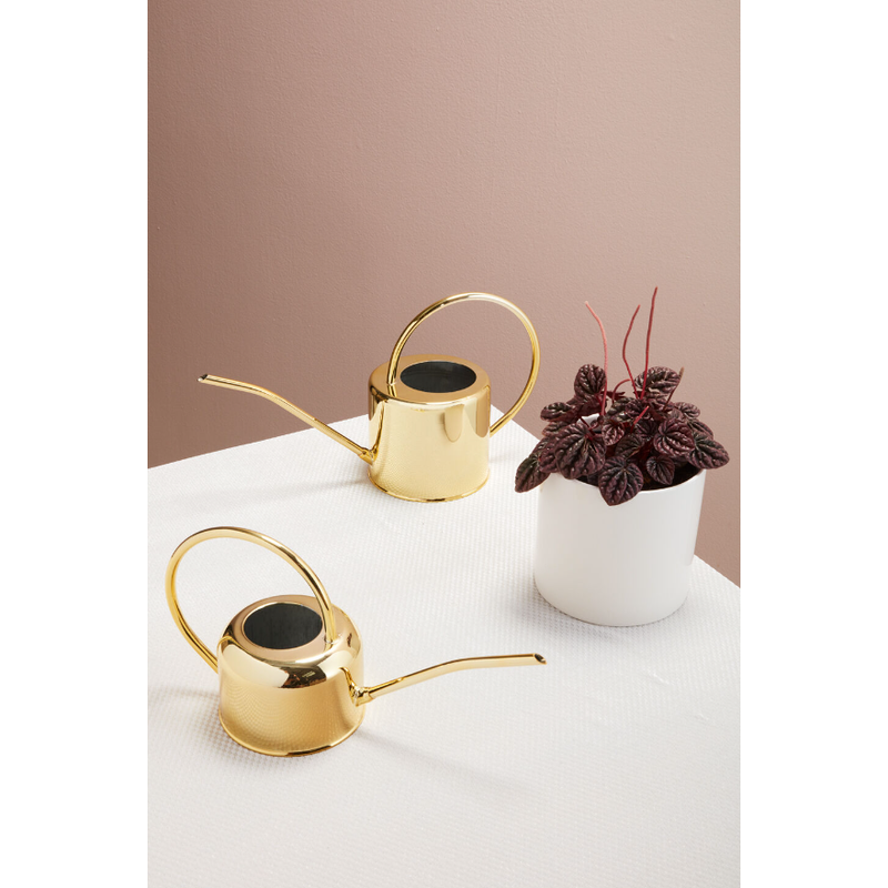 Henri Watering Can