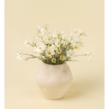 White Cosmos Spray