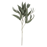 Willow Greenery Stem