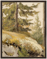 Northern Collection – Forest Study C.1881