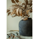 Dried Eucalyptus Stem in Cream
