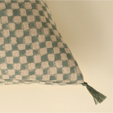 Check Cushion | Blue