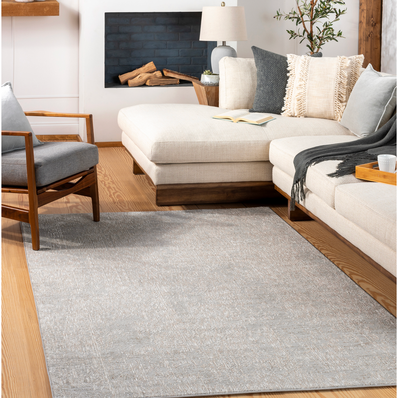 Carmel Area Rug - Light Gray/Off-White