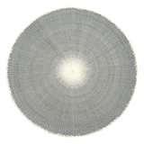 Willa Woven Placemat