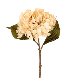 Hydrangea Floral Stem in Cream