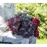 Peony Bouquet in Pink