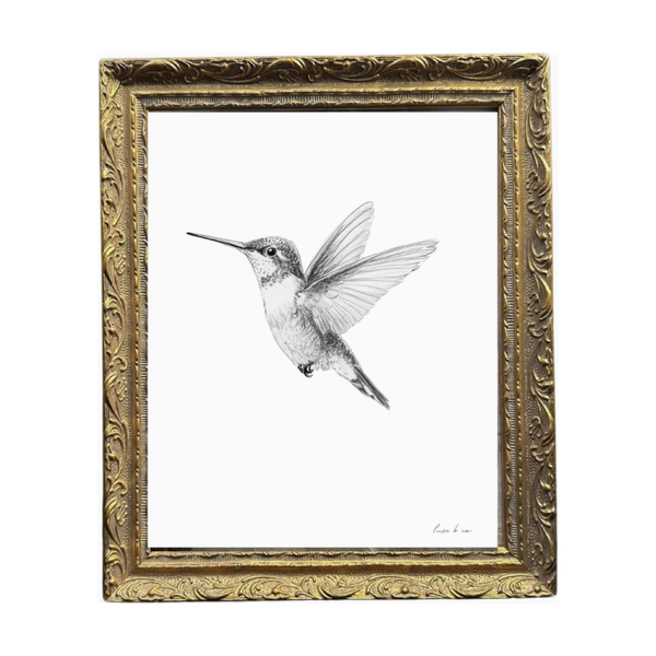 Hummingbird Sketch in Brass Gold Frame