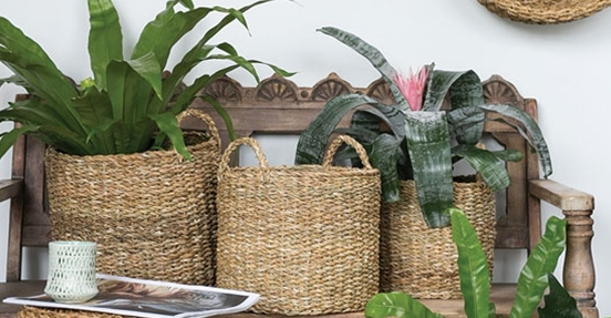 Hacienda Basket