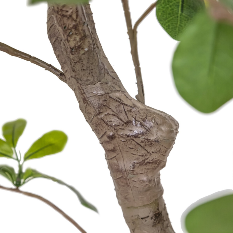 Faux Aralia Tree