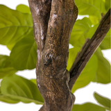 Faux Fiddle Leaf Tree