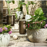 Regalia Planter