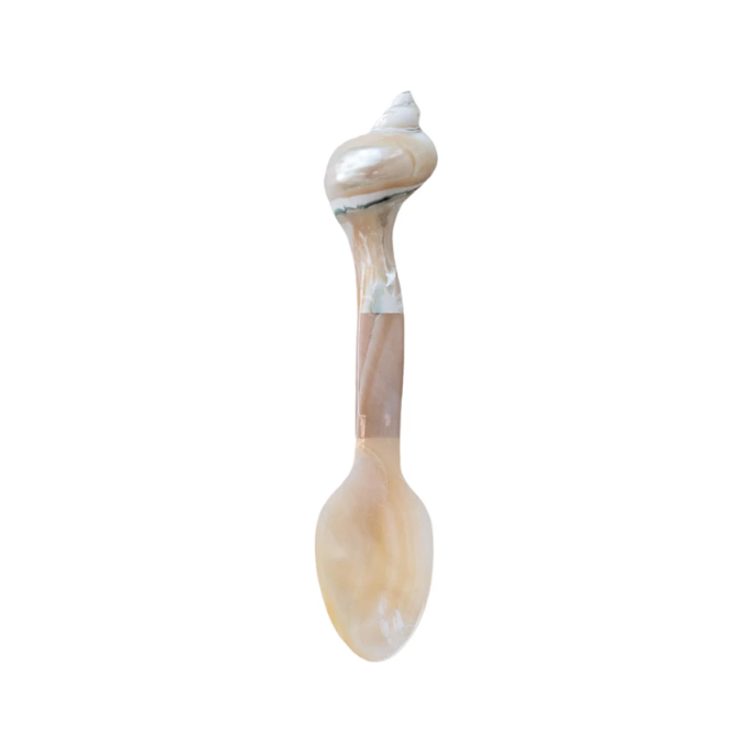 Natural Shell Spoon