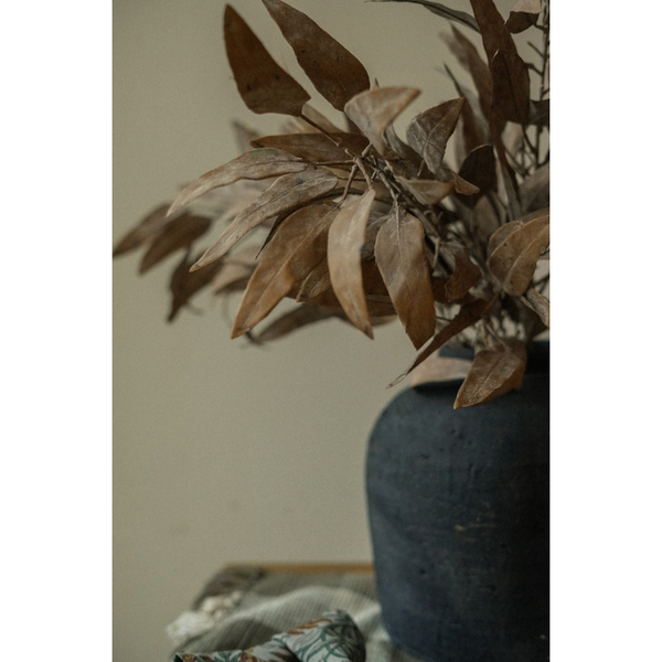 Dried Eucalyptus Stem in Cream