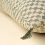 Check Cushion | Blue