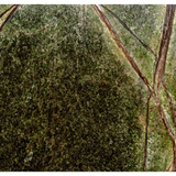 Blair End Table in Rainforest Green Marble