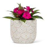 Daisy Planter