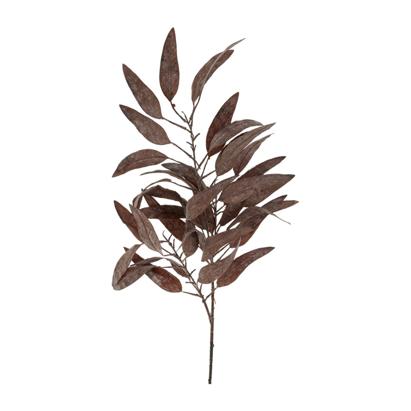 Dried Eucalyptus Stem in Purple
