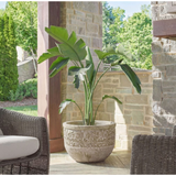 Regalia Planter