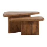 Sansa Coffee / Nesting Tables - Set of 2